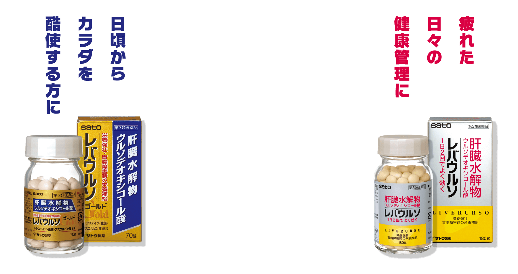 レバウルソドリンクG