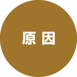 原因