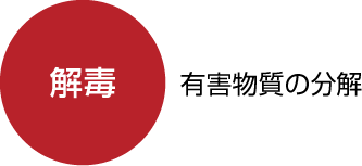 〈解毒〉有害物質の分解
