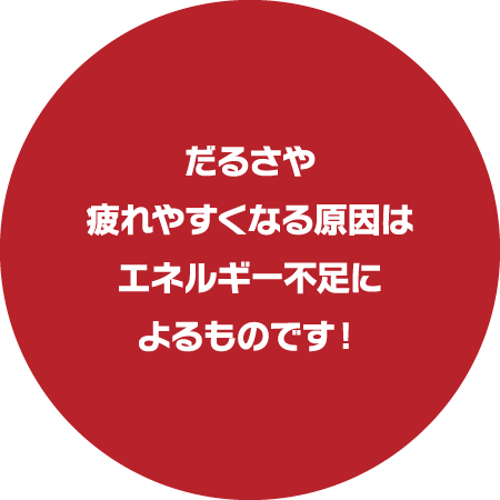 だるさや疲れやすくなる原因はエネルギー不足によるものです！