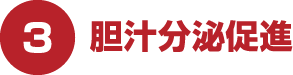 3.胆汁分泌促進