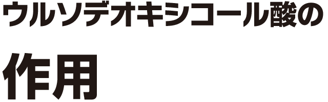 「ウルソデオキシコール酸」の作用