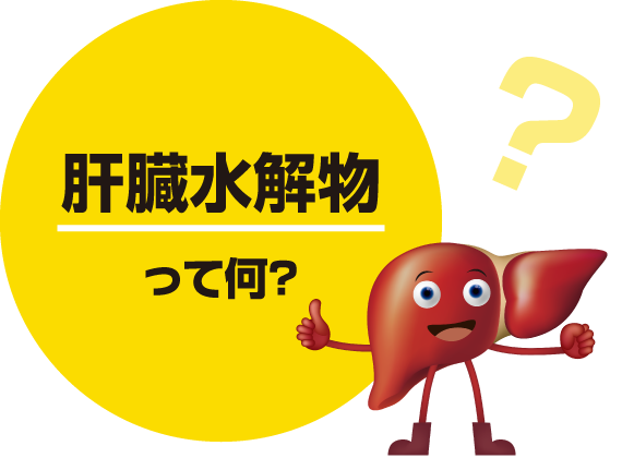 肝臓水解物って何？